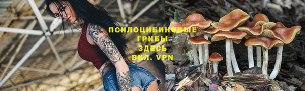 винт Майский