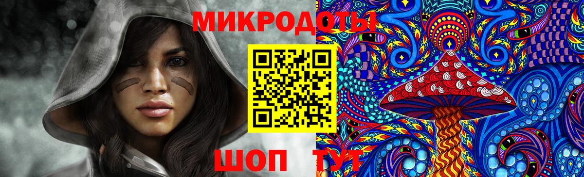 Галлюциногенные грибы Psilocybe Екатеринбург