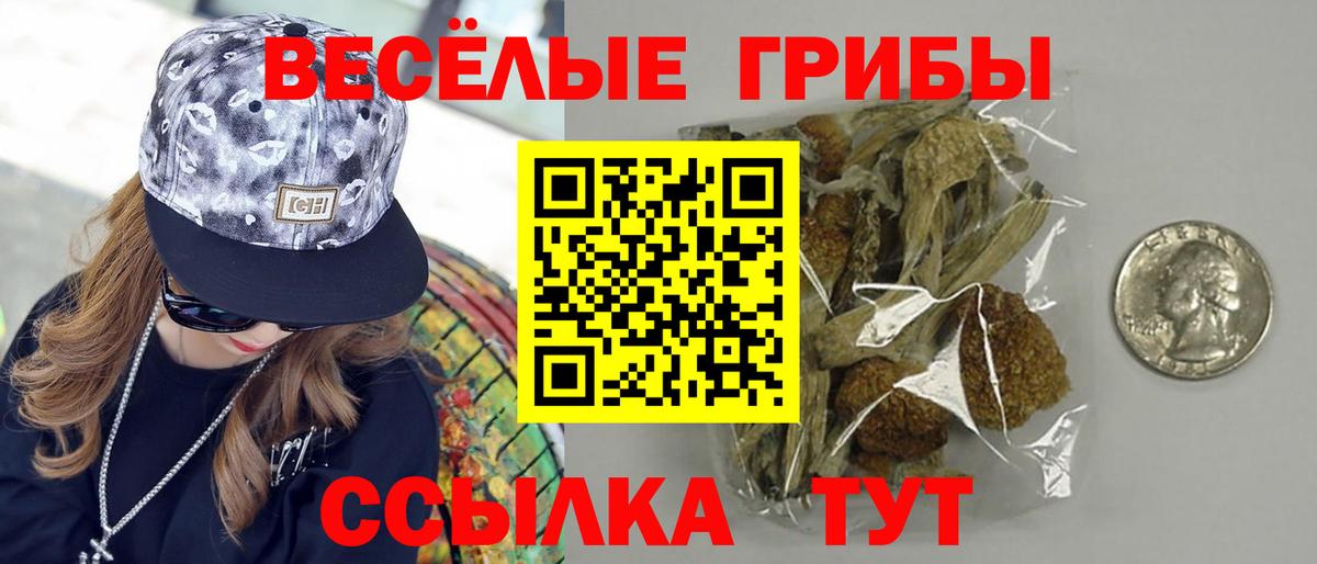 Псилоцибиновые грибы прущие грибы  даркнет сайт  Екатеринбург  Вход с VPN  Галлюциногенные грибы ЛСД 